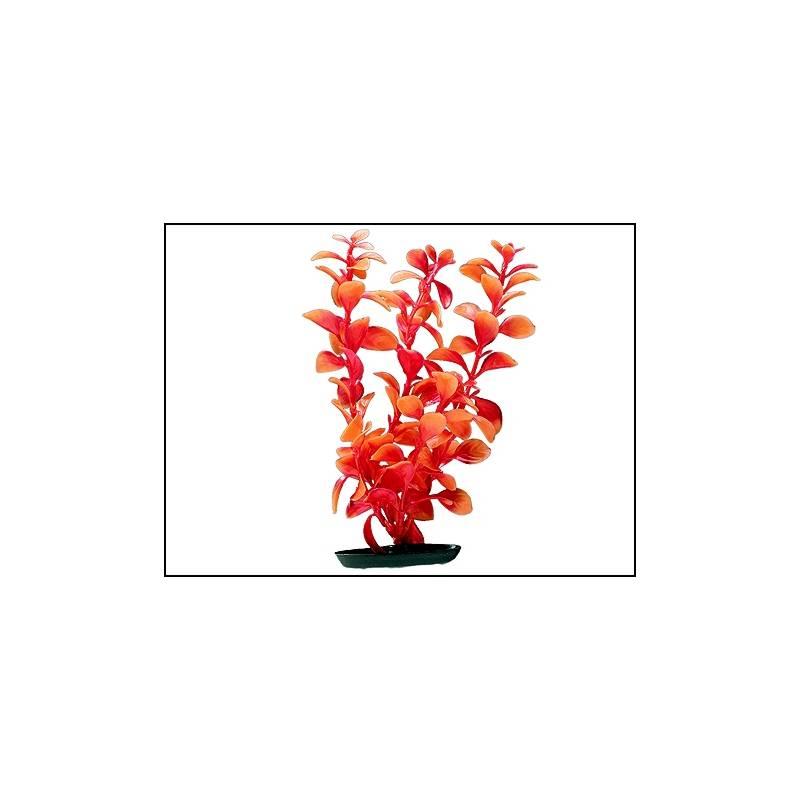 Rostlina Red Ludwigia oranžová 38 cm 1ks (101-PP1549), rostlina, red, ludwigia, oranžová, 1ks, 101-pp1549