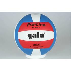 Míč volejbalový Gala PRO LINE 4051 S