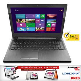 Notebook Lenovo IdeaPad G50-70 (59411466)