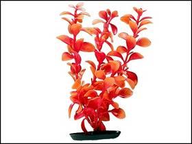 Rostlina Red Ludwigia oranžová 38 cm 1ks (101-PP1549)