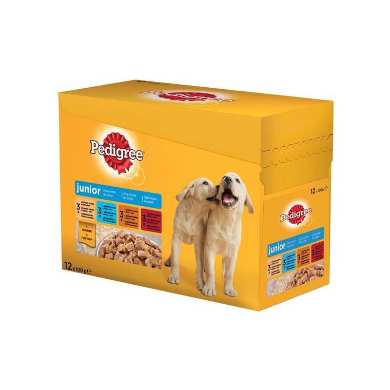 Kapsička Pedigree Junior 12pack, kapsička, pedigree, junior, 12pack