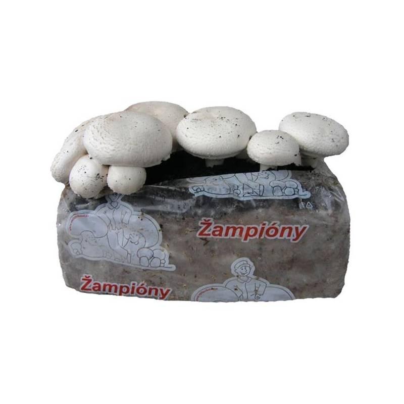 Substrát Agro sadba ŽAMPIONY bílé 8 kg, substrát, agro, sadba, Žampiony, bílé