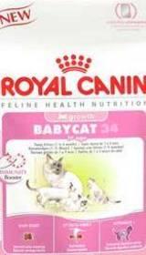 Granule Royal Canin Baby Cat 4 kg