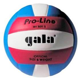 Míč volejbalový Gala PRO LINE 5011 S