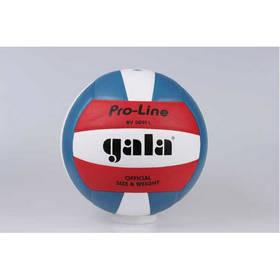 Míč volejbalový Gala PRO LINE 5091 L