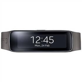 Příslušenství Samsung Gear Fit (ET-SR350BSEGWW)