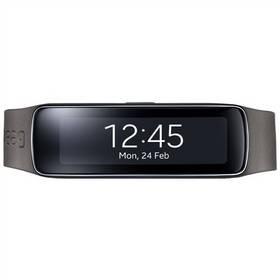 Příslušenství Samsung Gear Fit (ET-SR350BSEGWW)